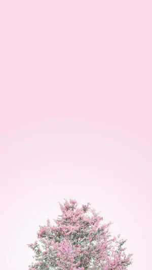 Minimalist Flower Tree