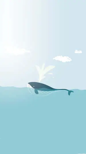 a whale is swimming in the ocean with a tail