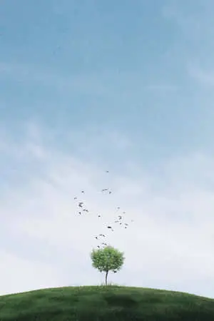 A minimalistic design with clean white lines on an iPhone