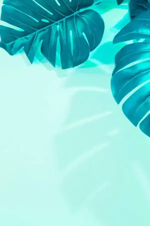 Monstera Leaves Mint Green Iphone
