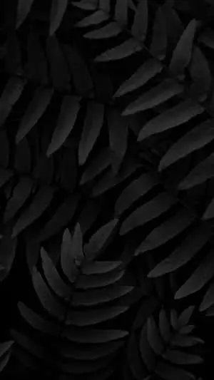 Monochrome Plant Leaves