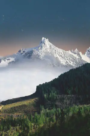 Take in the Breathtaking View of Nature