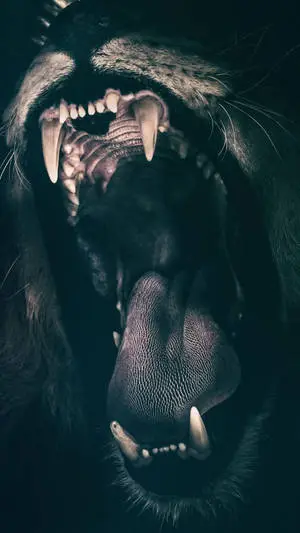 Open Mouth Lion iPhone