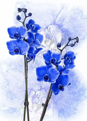 Painted Blue Flower iPhone