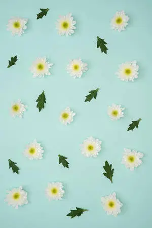 Pastel iPhone Blue Flowers