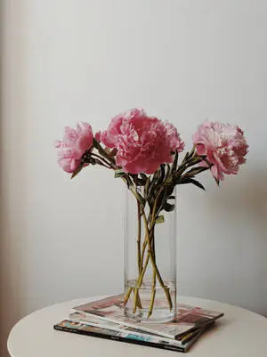 Pink Flowers Aesthetic In Glass Vase