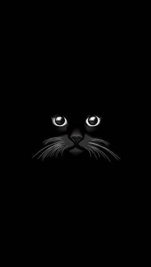 Black Cat on Samsung Device