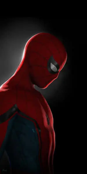 Spiderman PFP Phone