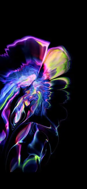 Colorful Abstract Super Amoled Display Flower