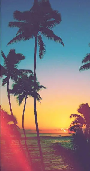 Enjoy a sunset beach paradise with your iPhone