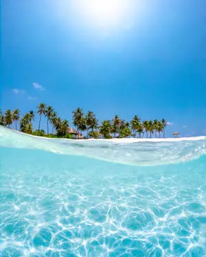 Tropical Climes And Beach Wave iPhone 