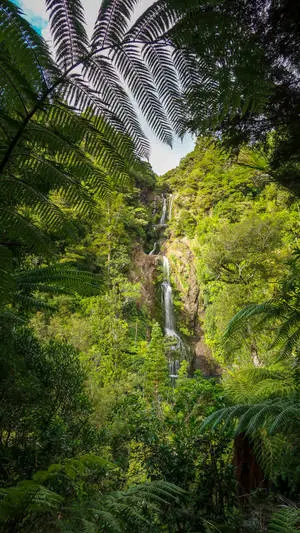 Waterfalls iPhone Jungle