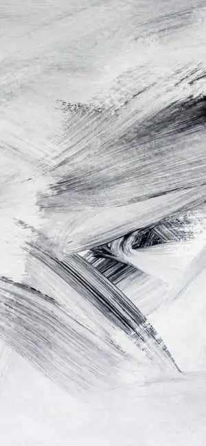 a painting of a white and black painting